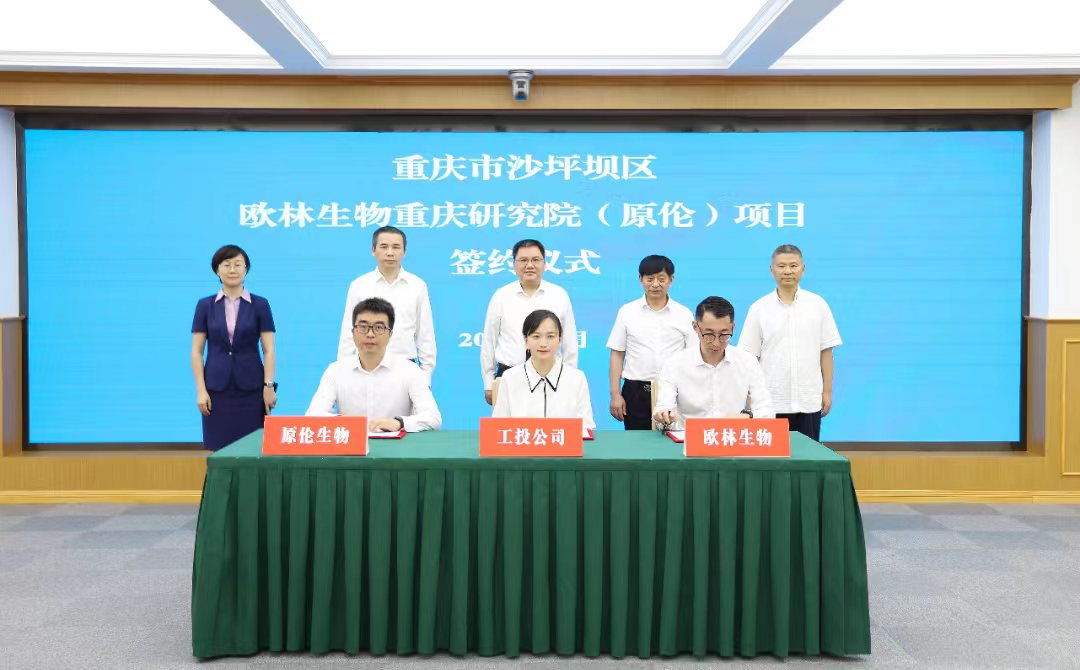 重庆研究院
